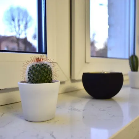 ゲストハウス Apartament Ida